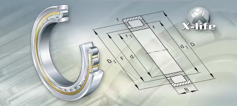 NJ28900-M1 bearing drawing NJ28900-M1 bearing drawing
